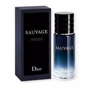 DIOR 曠野之心淡香水60ML 航空版